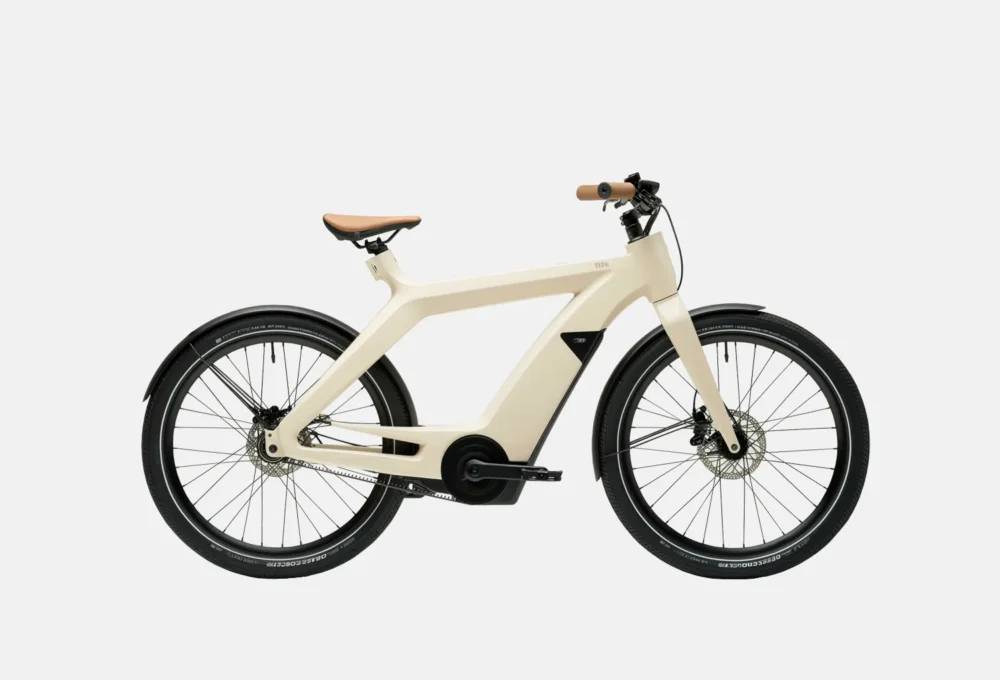 E-Bike Cargo Rack