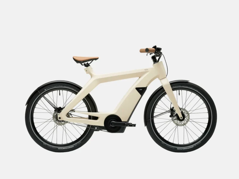 E-Bike Cargo Rack