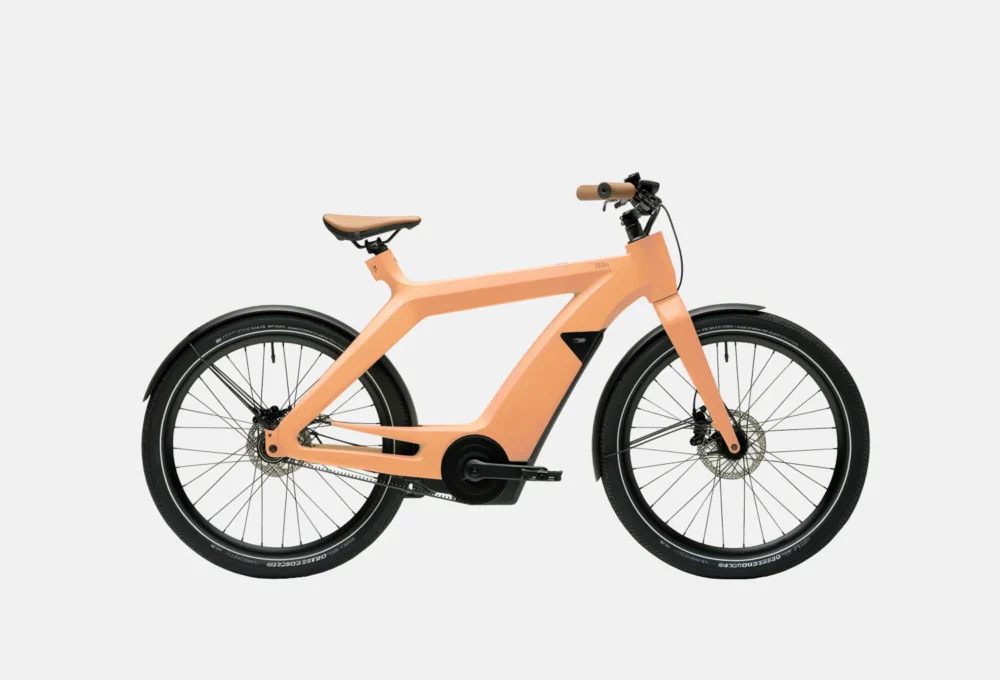E-Bike Cargo Rack