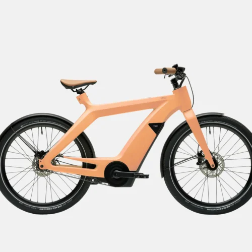 E-Bike Cargo Rack